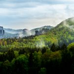 X Powiatowy konkurs – Czy znasz nasze lasy