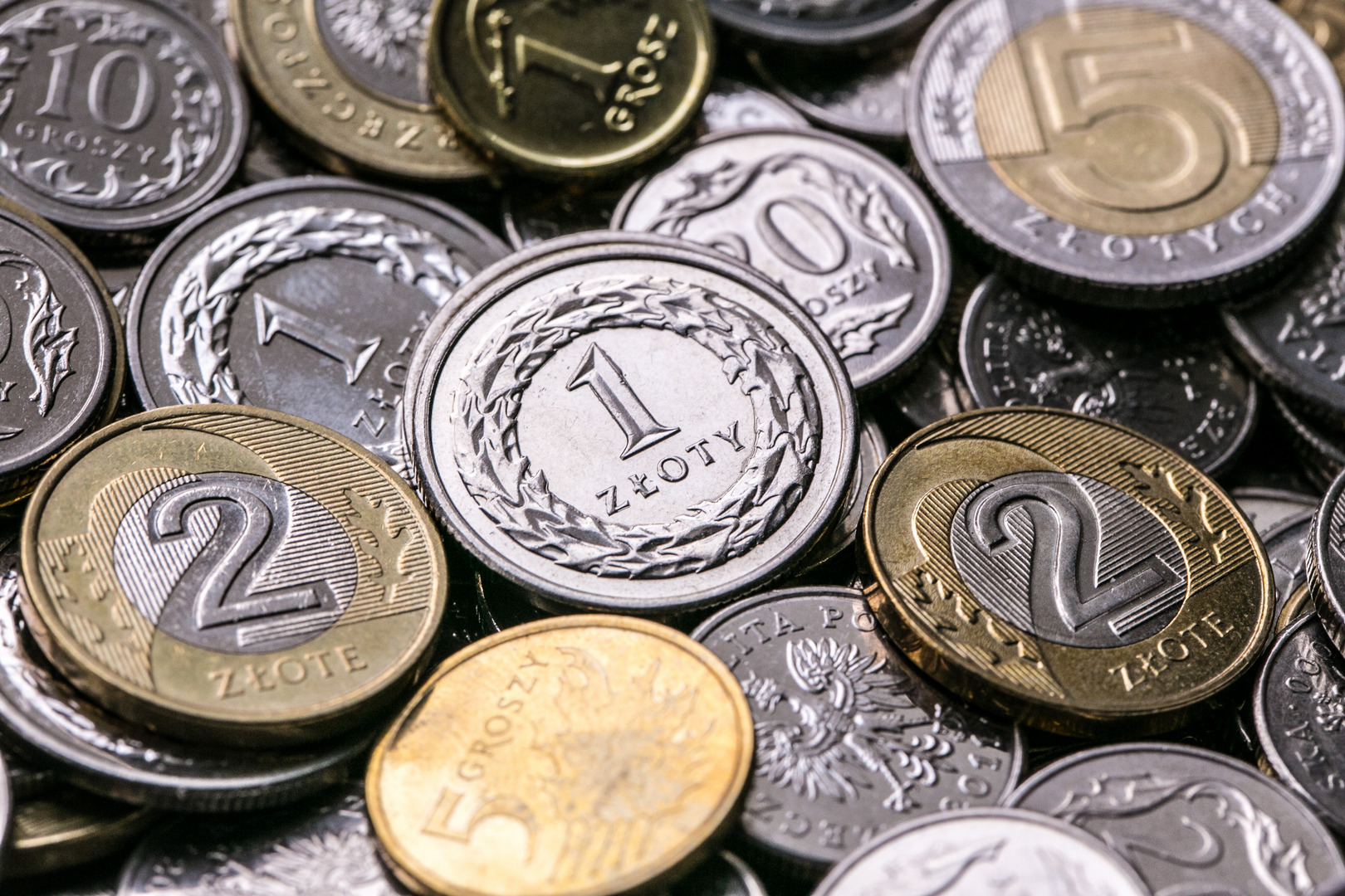 Podsumowanie zbiórki – Góra Grosza 2026