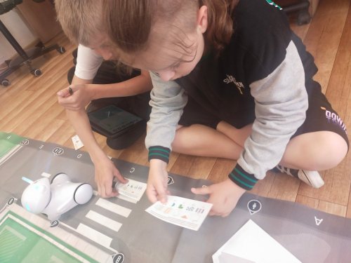 Matematyczni detektywi