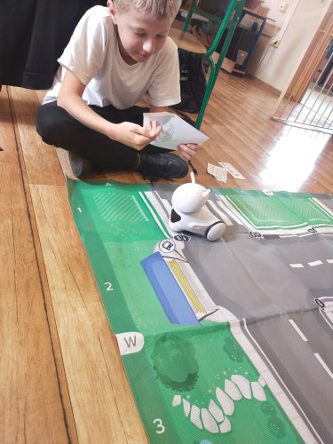 Matematyczni detektywi