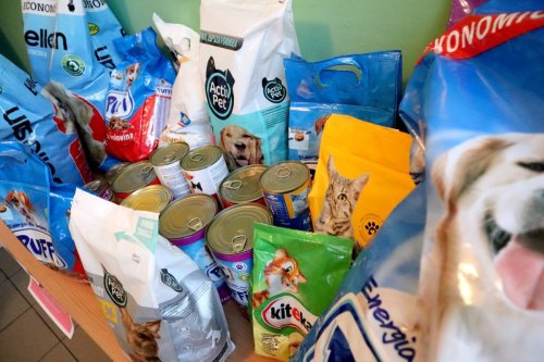 Spotkanie z Empatycznymi