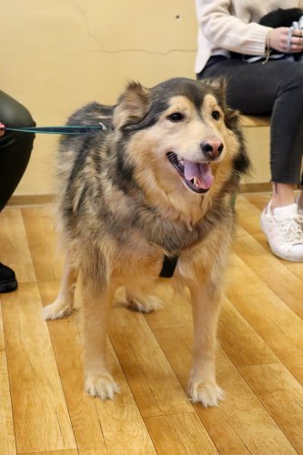 Spotkanie z Empatycznymi