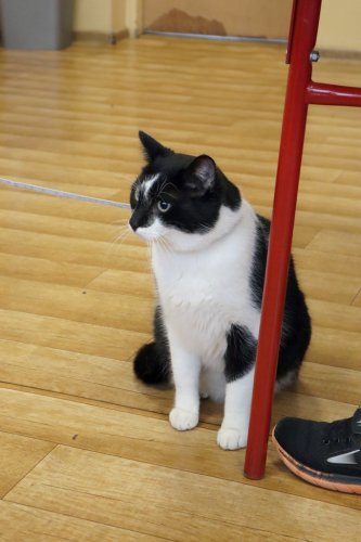 Spotkanie z Empatycznymi