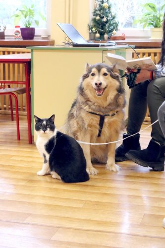 Spotkanie z Empatycznymi