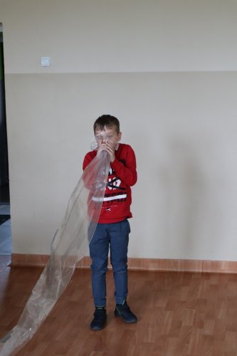 Grupa Zaelektryzowani 2024